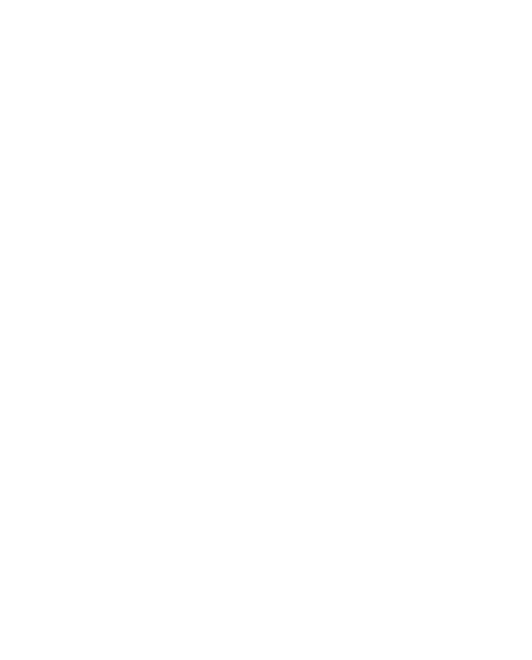 OEM Icon